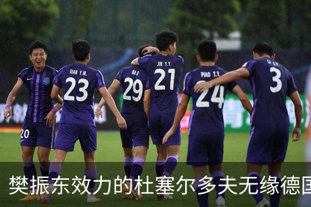 樊振东效力的杜塞尔多夫无缘德国杯八强